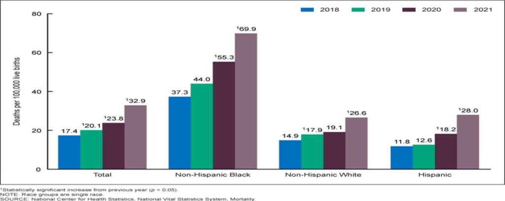 Maternal Mortality Rates Chart